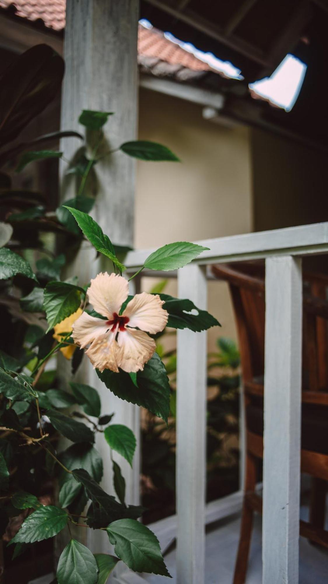 The Lucky Cottage Nusa Lembongan  Luaran gambar